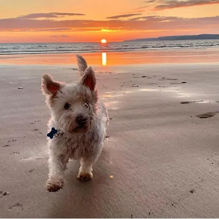 No.10 Seaside - 1st & 2nd Floor *